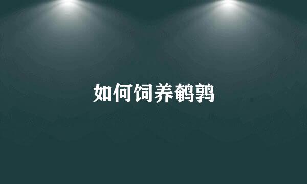 如何饲养鹌鹑