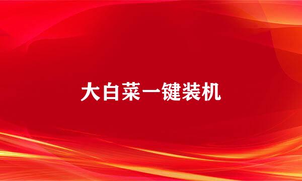 大白菜一键装机