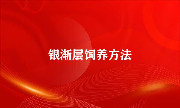银渐层饲养方法