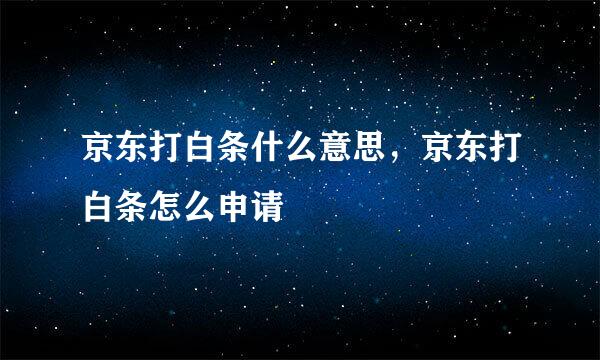 京东打白条什么意思，京东打白条怎么申请