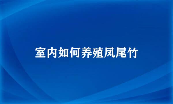 室内如何养殖凤尾竹