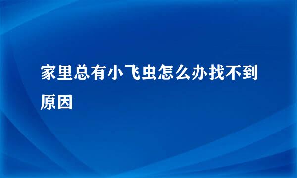 家里总有小飞虫怎么办找不到原因