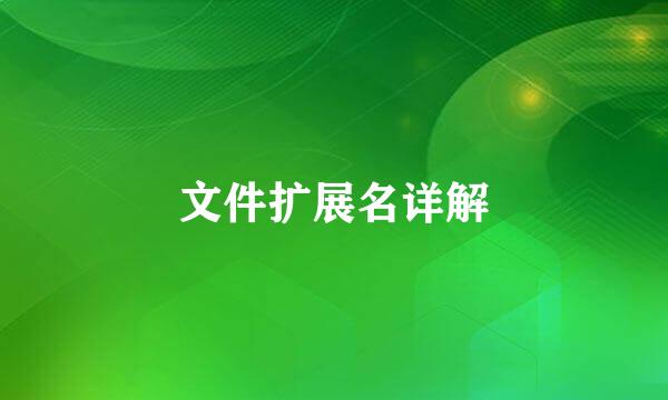 文件扩展名详解