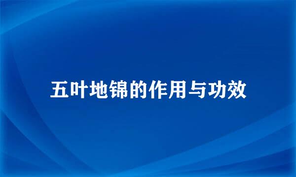 五叶地锦的作用与功效
