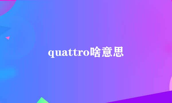 quattro啥意思