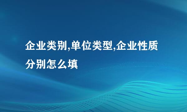 企业类别,单位类型,企业性质分别怎么填