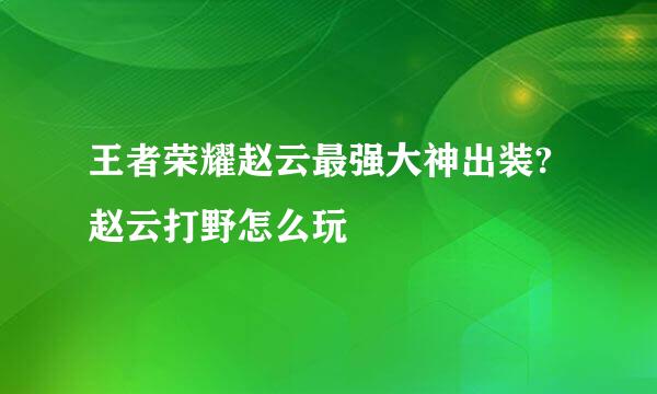 王者荣耀赵云最强大神出装?赵云打野怎么玩