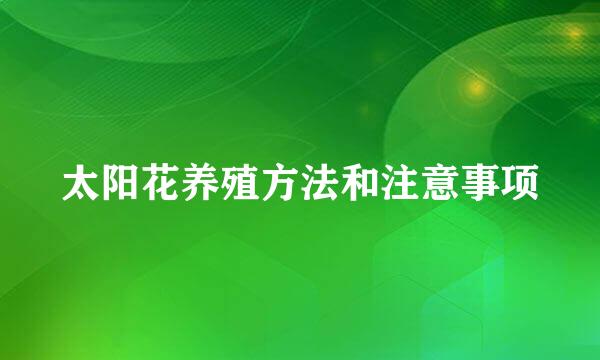 太阳花养殖方法和注意事项