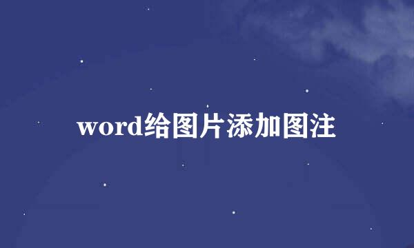 word给图片添加图注