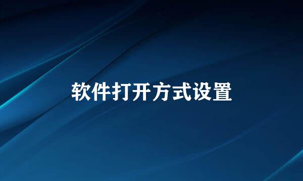 软件打开方式设置