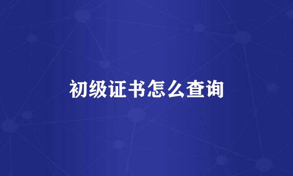 初级证书怎么查询