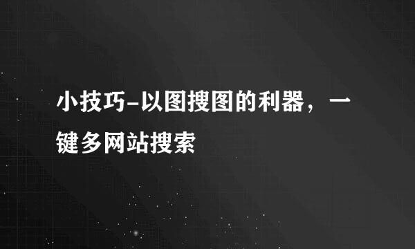 小技巧-以图搜图的利器，一键多网站搜索