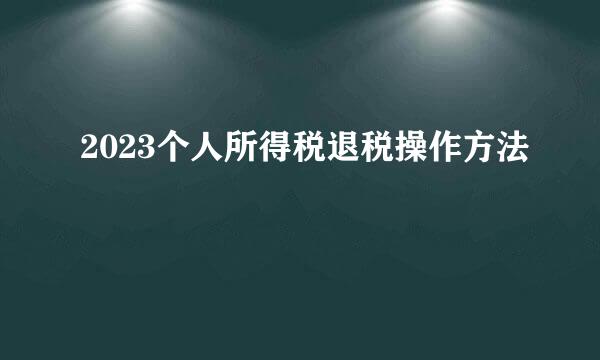2023个人所得税退税操作方法