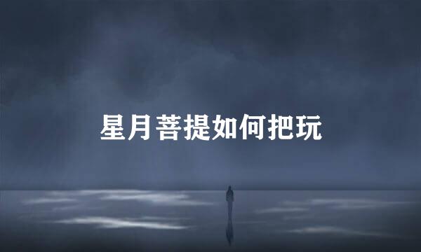 星月菩提如何把玩
