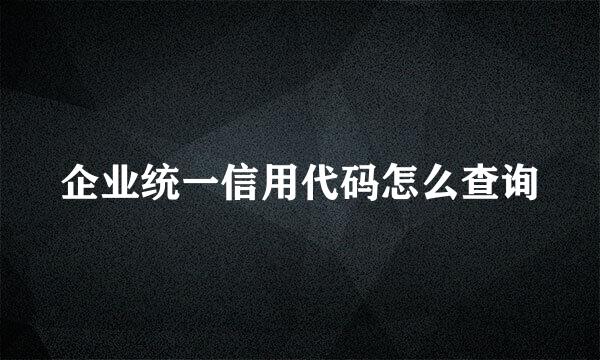 企业统一信用代码怎么查询