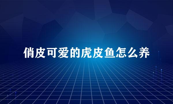俏皮可爱的虎皮鱼怎么养