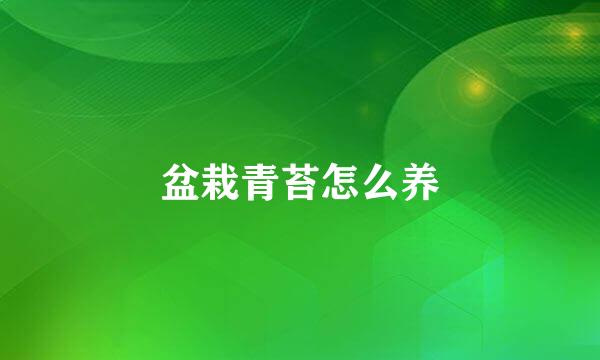 盆栽青苔怎么养