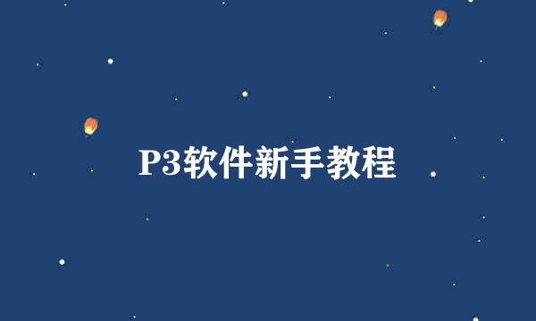 P3软件新手教程