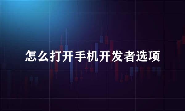 怎么打开手机开发者选项