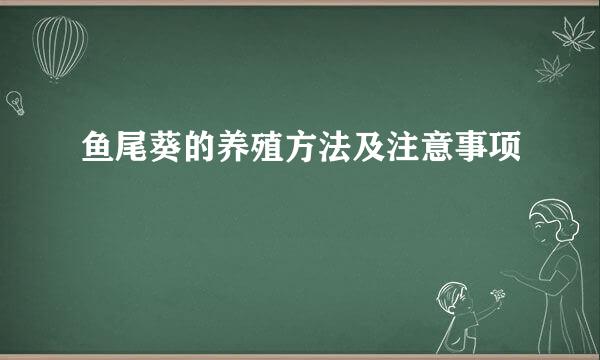 鱼尾葵的养殖方法及注意事项
