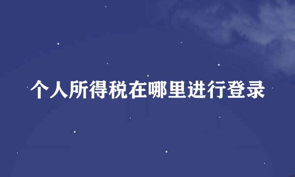 个人所得税在哪里进行登录