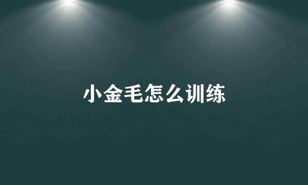 小金毛怎么训练