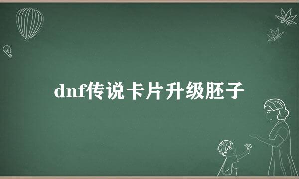 dnf传说卡片升级胚子