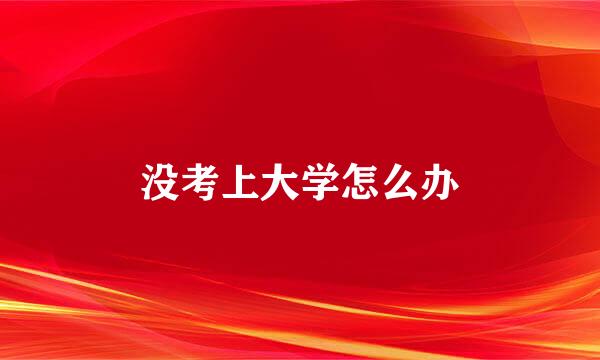 没考上大学怎么办