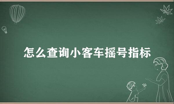 怎么查询小客车摇号指标