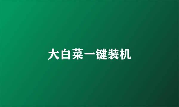 大白菜一键装机