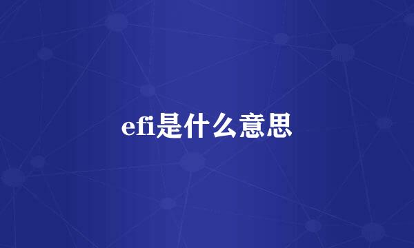 efi是什么意思