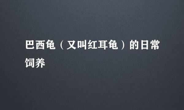 巴西龟（又叫红耳龟）的日常饲养