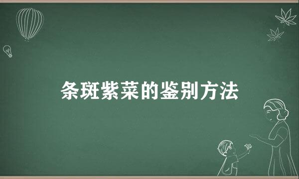 条斑紫菜的鉴别方法