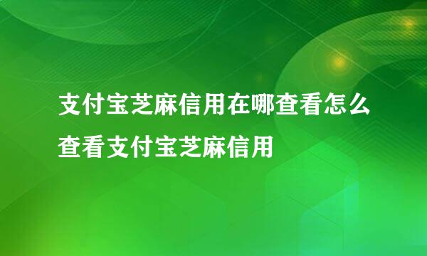 支付宝芝麻信用在哪查看怎么查看支付宝芝麻信用