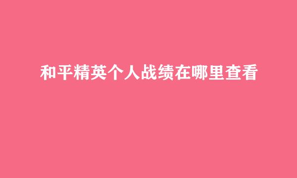 和平精英个人战绩在哪里查看