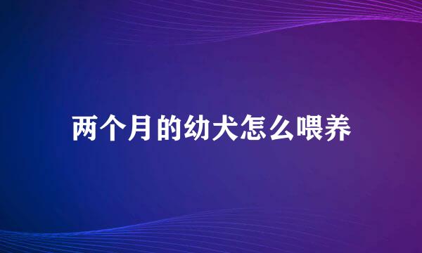 两个月的幼犬怎么喂养