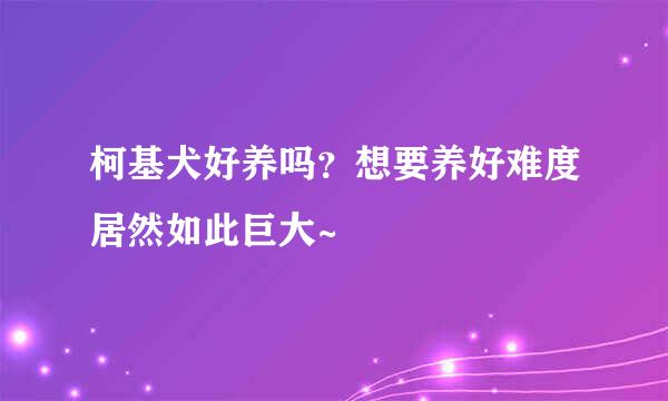 柯基犬好养吗？想要养好难度居然如此巨大~