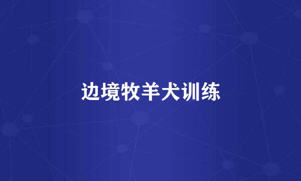 边境牧羊犬训练