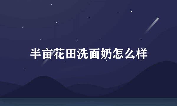 半亩花田洗面奶怎么样