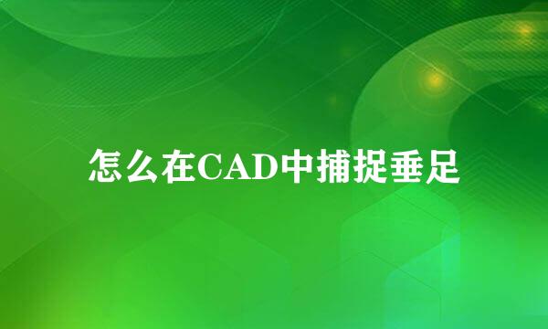 怎么在CAD中捕捉垂足