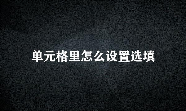 单元格里怎么设置选填