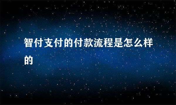 智付支付的付款流程是怎么样的