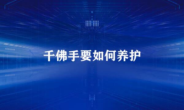 千佛手要如何养护