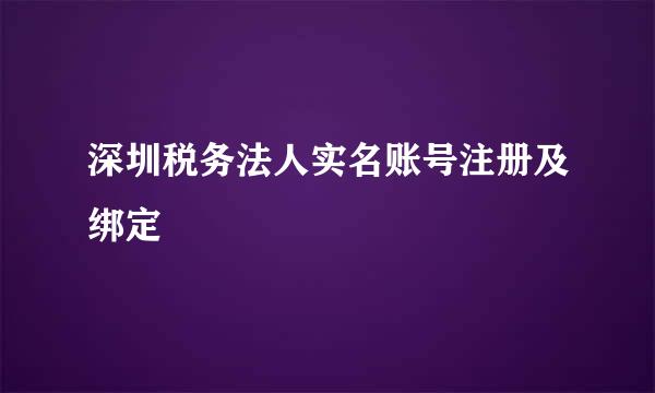 深圳税务法人实名账号注册及绑定