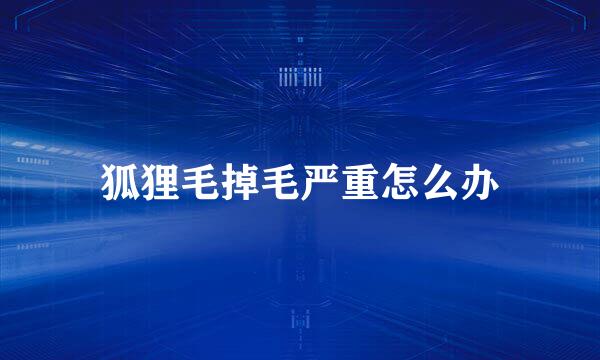 狐狸毛掉毛严重怎么办
