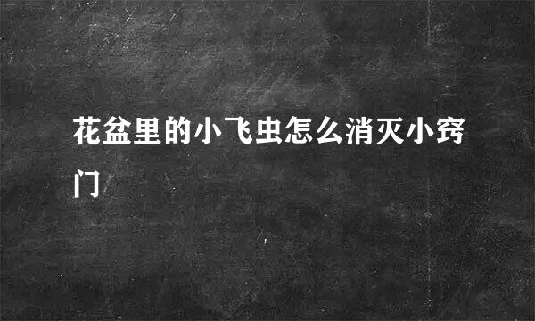 花盆里的小飞虫怎么消灭小窍门
