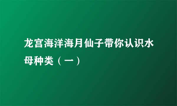 龙宫海洋海月仙子带你认识水母种类（一）