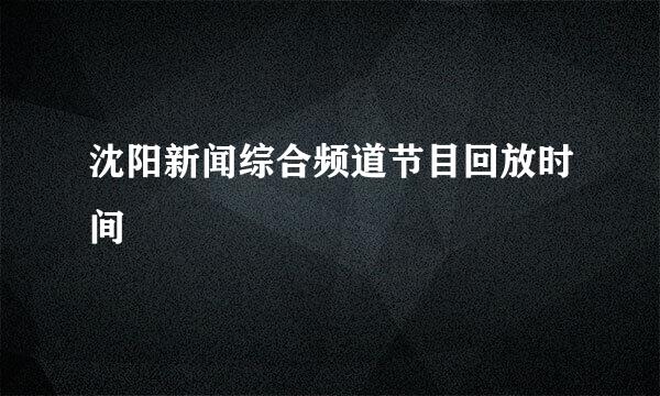 沈阳新闻综合频道节目回放时间