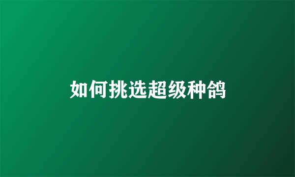 如何挑选超级种鸽