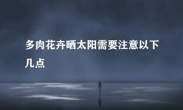 多肉花卉晒太阳需要注意以下几点